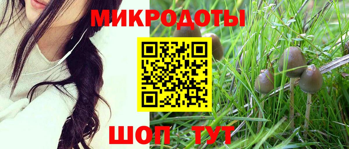 Псилоцибиновые грибы ЛСД Вичуга