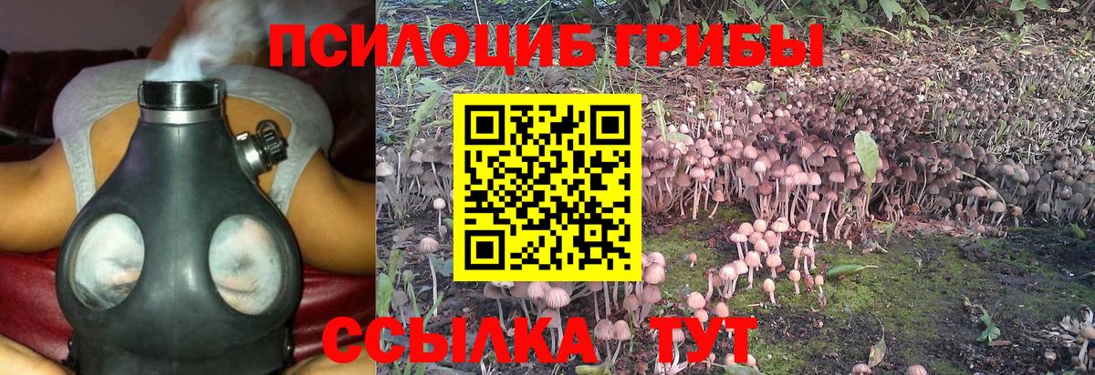 Галлюциногенные грибы Cubensis  как найти закладки  Вичуга  Вход с VPN 